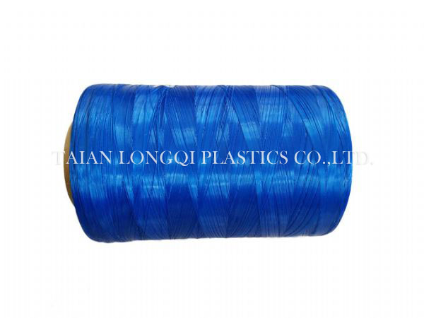 PE monofilament yarn